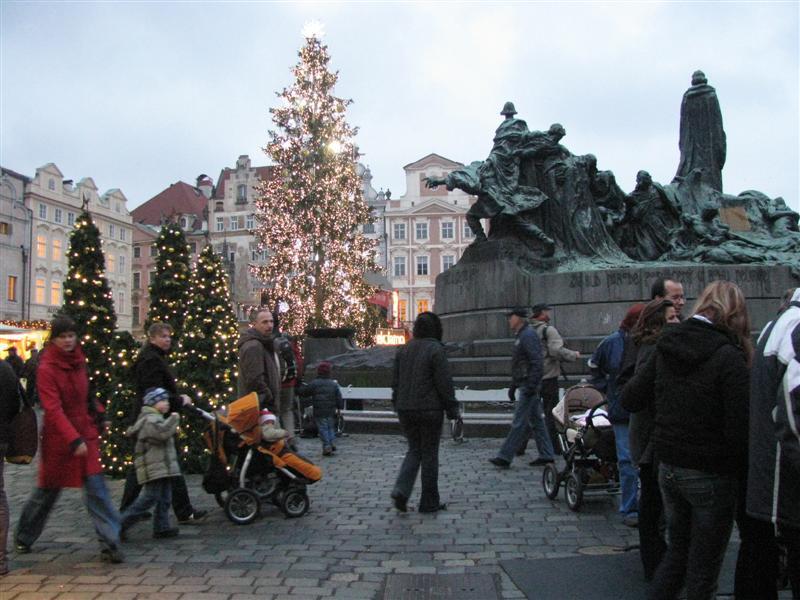 IMG_3762 (Medium) (Medium).JPG
